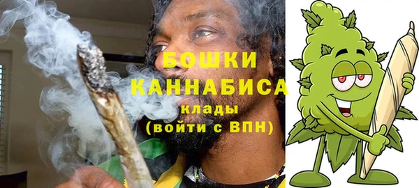дмт Нязепетровск